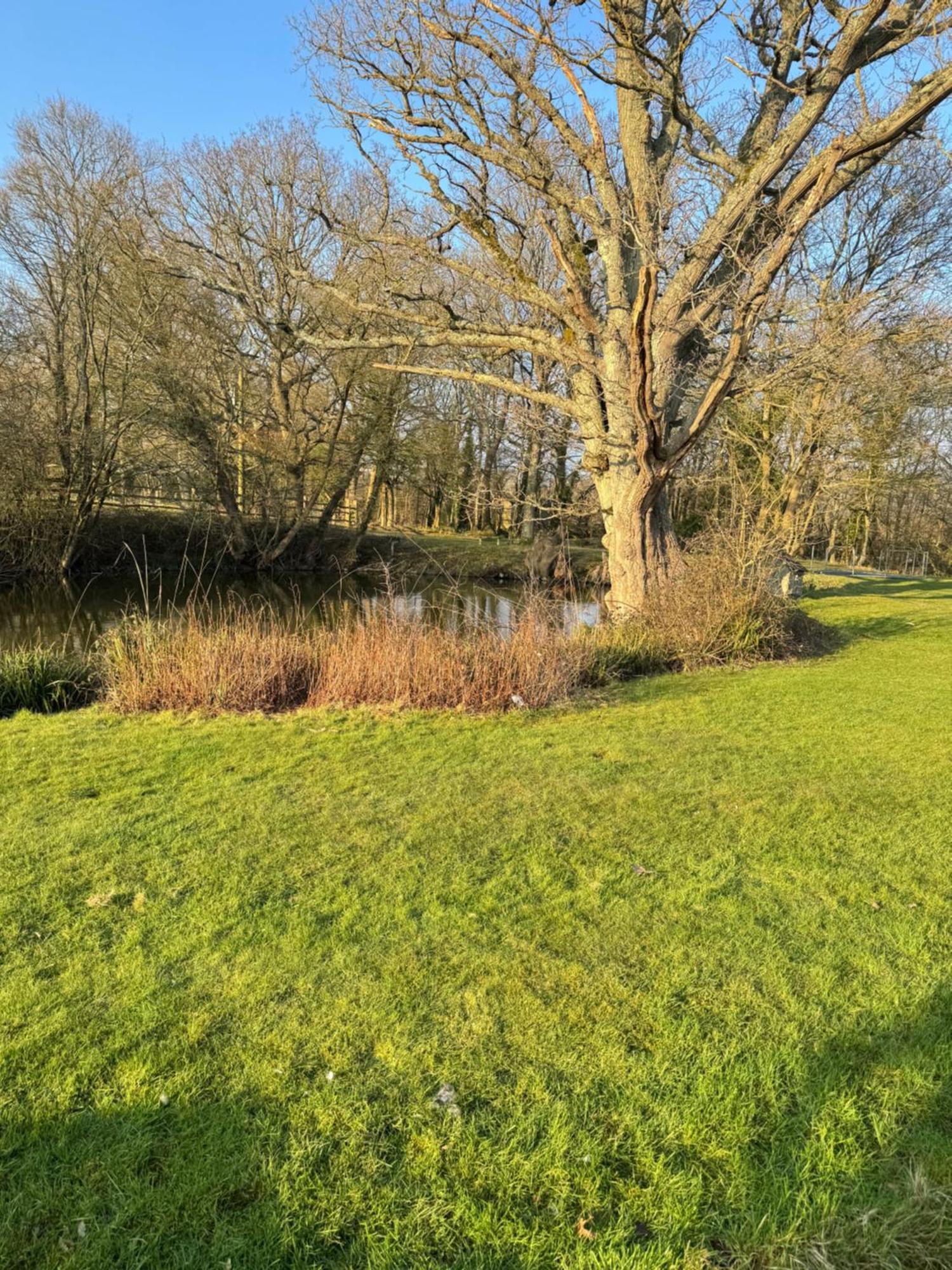 Waters Edge Apartment Rolvenden Bagian luar foto